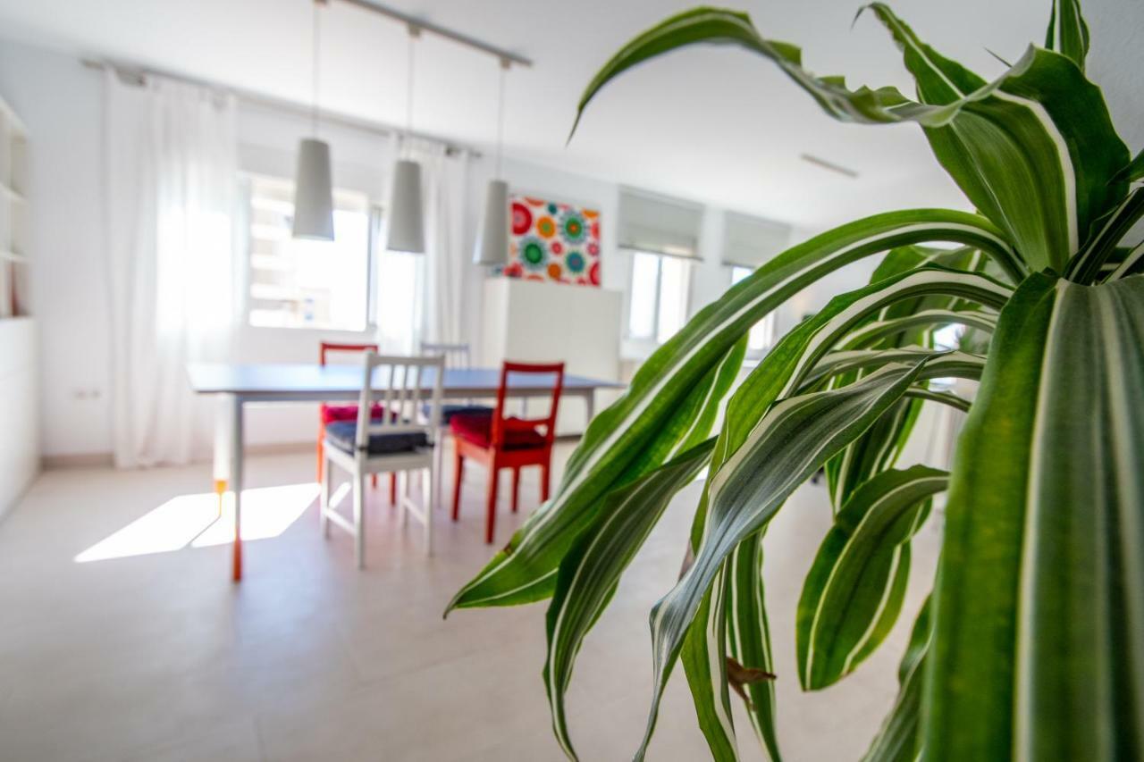 Apartamento El Rayo Verde Cádiz Eksteriør bilde